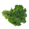 Kale – Starbor (BabyGreen/MicroGreen)