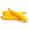 Zucchini – Golden Glory