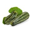 Zucchini – Bush Baby