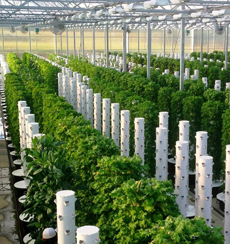 Tower Farms