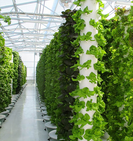 Aeroponic Workshops