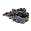 Kale – Olympic Red (BabyGreen/MicroGreen)