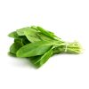 Sorrel – Green