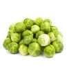 Brussels Sprouts-Churchill