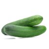 Cucumber – Corinto