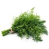 Dill-(BabyGreen/MicroGreen)