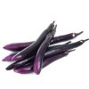 Eggplant – Machiaw