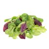 Lettuce All Star Gourmet Mix (BabyGreen/MicroGreen)