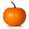 Squash - Pumpkin Racer