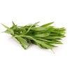 Tarragon – Russian