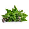 Basil – Thai (BabyGreen/MicroGreen)