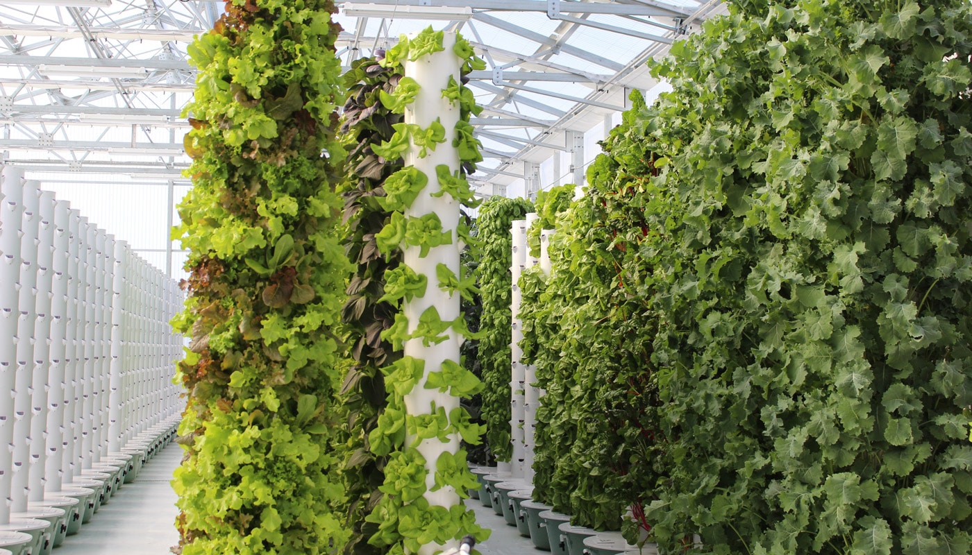 tower-farm