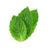 Mint – Chocolate