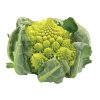 Cauliflower – Veronica (Romanesco)