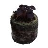 Basil – Amethyst Improved - Image 2