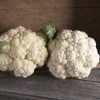 Cauliflower – Mardi - Image 3
