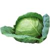 Cabbage – Capture
