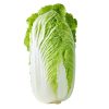 Cabbage – Bilko