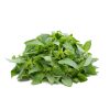 Basil – Lemon (BabyGreen/MicroGreen)