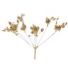 Cumin – Cumin
