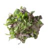 Mild Micro Mix