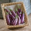 Eggplant - Fairy Tale