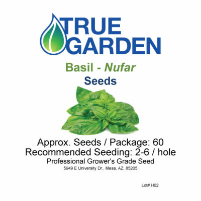 Basil - Nufar - seeds