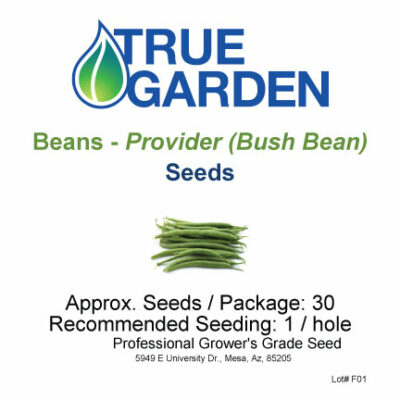 Beans - Provider (Bush Beans) - seeds