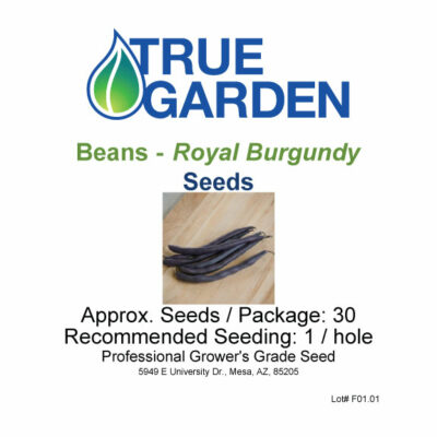 Beans - Royal Burgundy - seeds