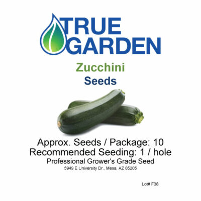 Zucchini - Noche / Dunja - seeds