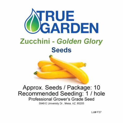 Zucchini - Golden Glory - seeds