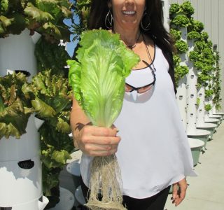 outdoor-aeroponic-tower-farm-6