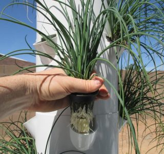 outdoor-aeroponic-tower-farm-7