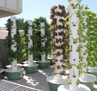 outdoor-aeroponic-tower-farm