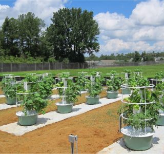 planttestinguniversitymich