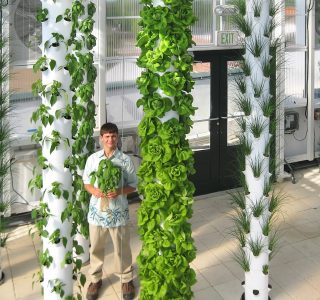 thegardenrootopbuilding